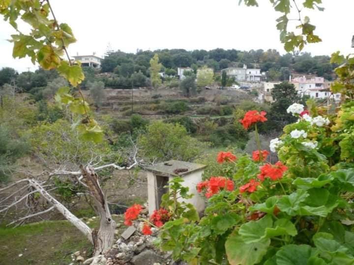 Arches Eleftherna Εξωτερικό φωτογραφία